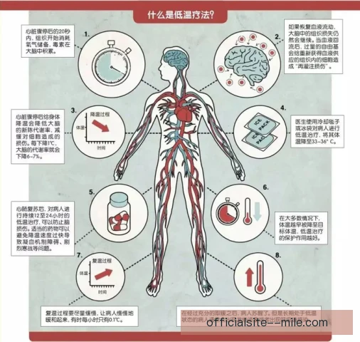 自由潜水者严控低温风险，科学预防低温症保安全